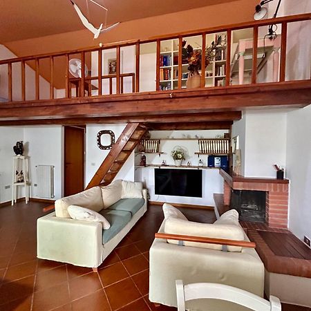 Amazing House 10 Min By Car From The Beach Όλμπια Εξωτερικό φωτογραφία
