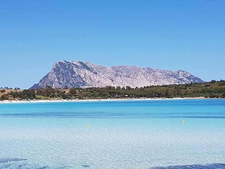 Amazing House 10 Min By Car From The Beach Όλμπια Εξωτερικό φωτογραφία