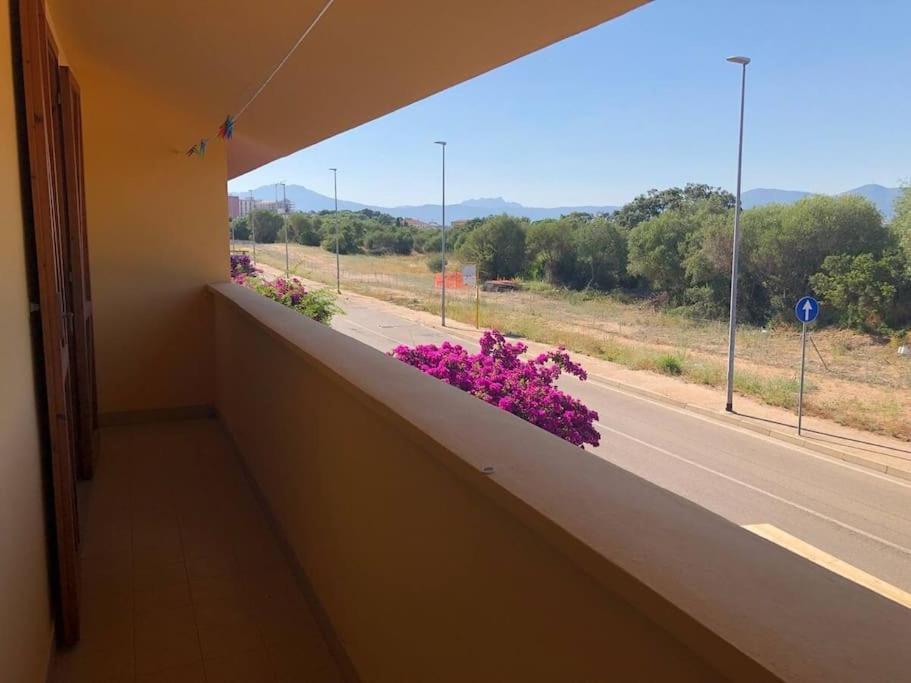 Amazing House 10 Min By Car From The Beach Όλμπια Εξωτερικό φωτογραφία