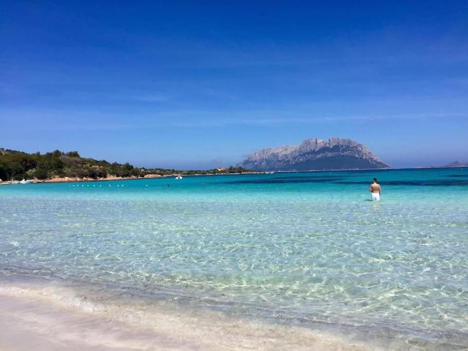 Amazing House 10 Min By Car From The Beach Όλμπια Εξωτερικό φωτογραφία
