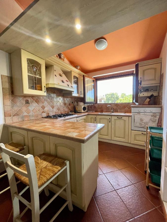 Amazing House 10 Min By Car From The Beach Όλμπια Εξωτερικό φωτογραφία