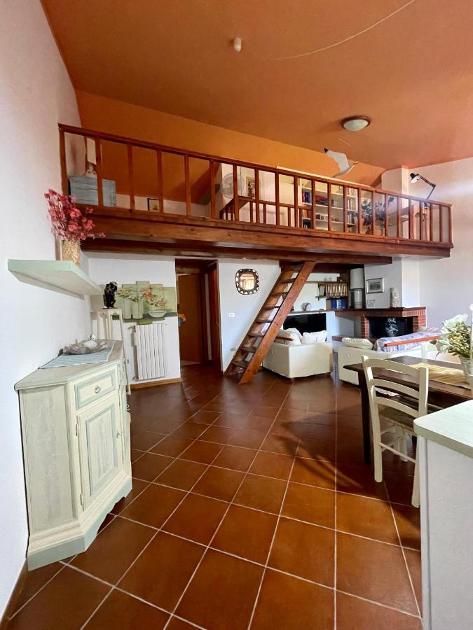 Amazing House 10 Min By Car From The Beach Όλμπια Εξωτερικό φωτογραφία